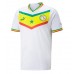 Günstige Senegal Heim Fussballtrikot WM 2022 Kurzarm